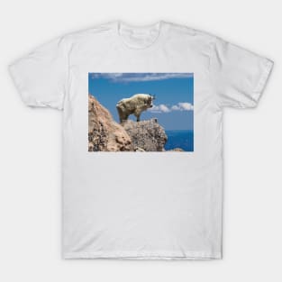 Above The Clouds T-Shirt